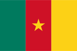 Logo for Cameroon